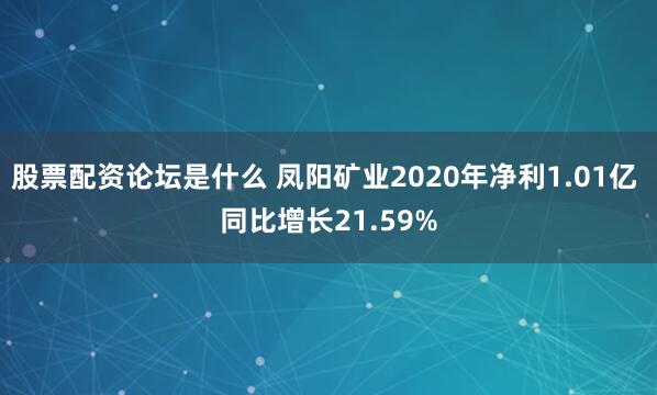股票配资论坛是什么 凤阳矿业2020年净利1.01亿 同比增长21.59%